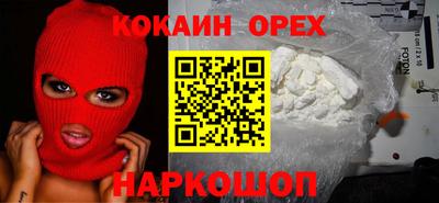 mdpv Новодвинск