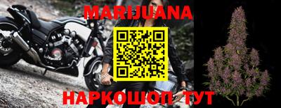 гидра Новокубанск