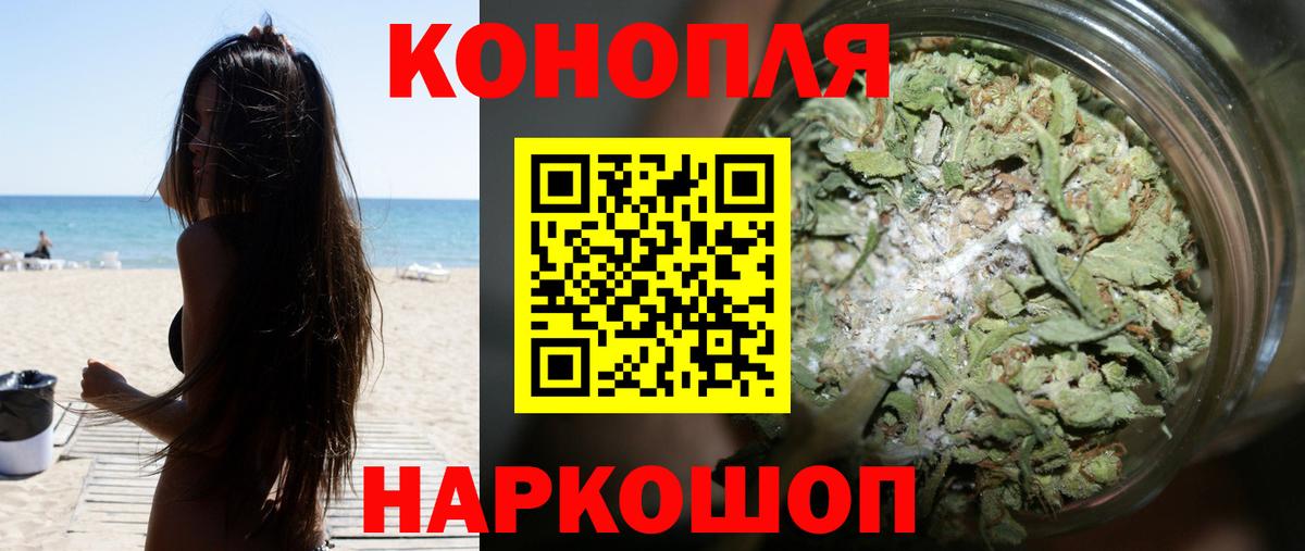 МАРИХУАНА сатива Сланцы